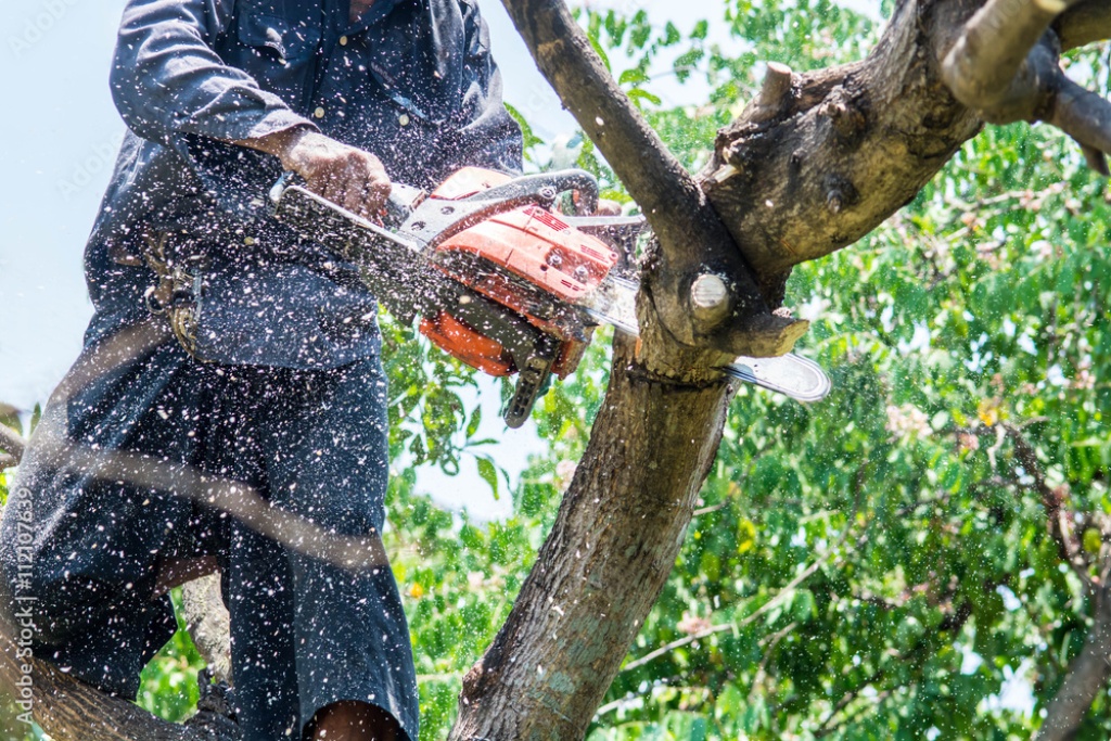 Man chopping wood with a chainsaw ,close-up