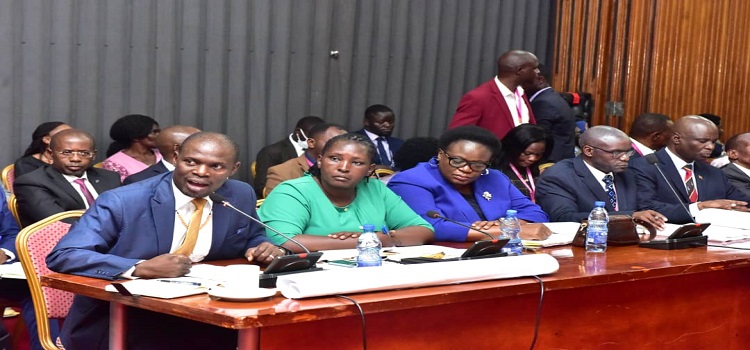 Minister Kabuye Kyofatogabye (L) and the ED, Dorothy Kisaka (Centre in blue) before the committee