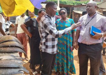 Commissioners interacting with PDM beneficiaries at Kame Valley Market.