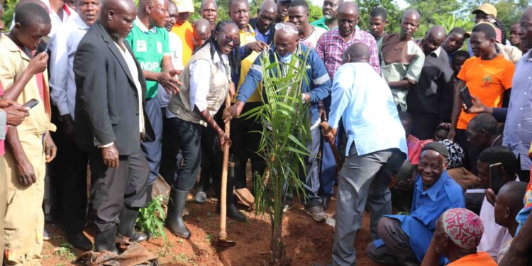 Suzan Lakwonyero, the NOPP Project Manager commissioning the planting oil palm trees in Mayuge.