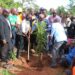 Suzan Lakwonyero, the NOPP Project Manager commissioning the planting oil palm trees in Mayuge.
