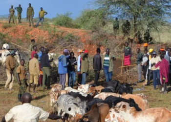 Reformed Warriors Still Waiting for Gov’t Tractors, Special Projects