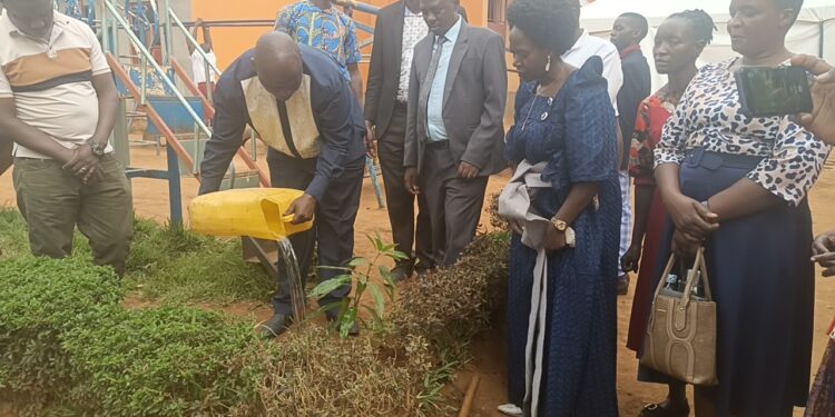 Omusumba Lwandasa ng'afukirira omuti