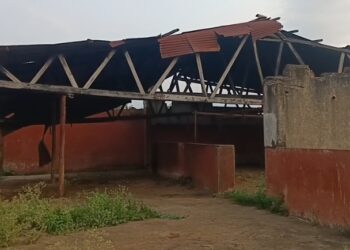 GKMA-UDP: Debate Heats Up Over Kyetume Abattoir Redevelopment