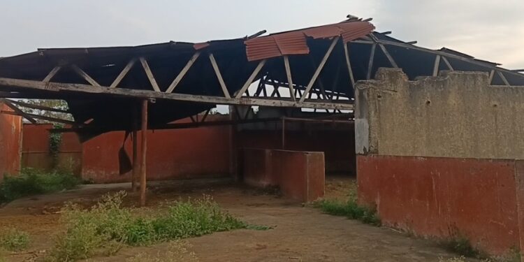 GKMA-UDP: Debate Heats Up Over Kyetume Abattoir Redevelopment