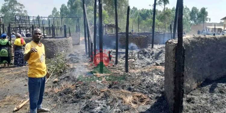 Pork Market Touched By Bad-Hearted People