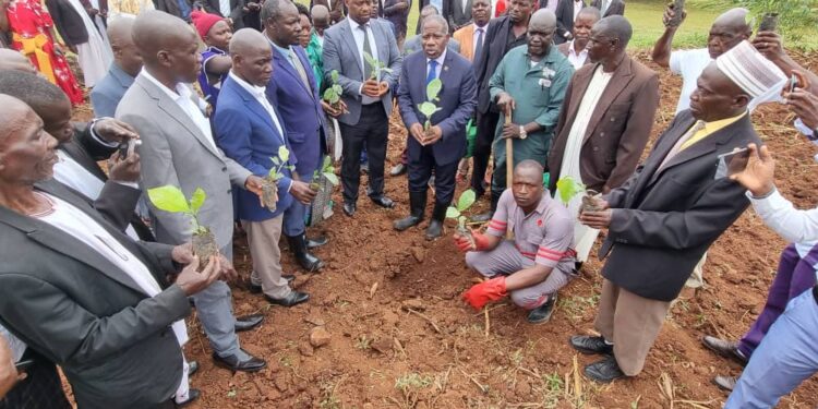 Ssekiboobo Vincent Matovu officiating coffee planting at Ngogwe Sub County