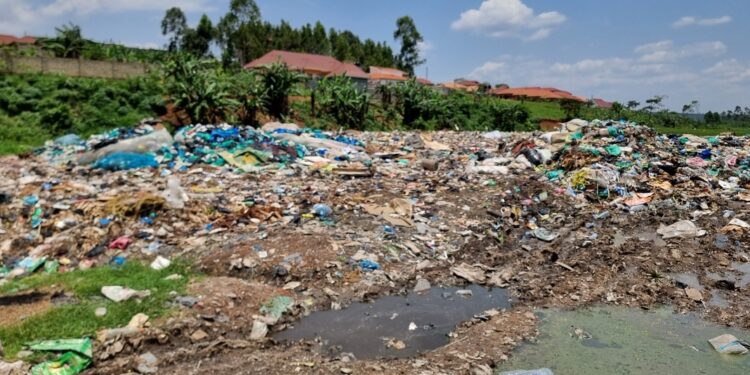 Illegal Dumping Crisis: Mukono Residents Struggle Amidst Garbage Overload, Stench