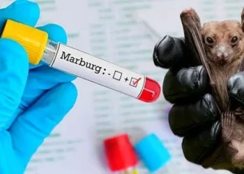 Marburg Virus Outbreak Claims Six Lives In Rwanda, Border Surveillance Intensifies