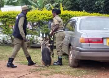 Police dog (K-9) for Mukono division