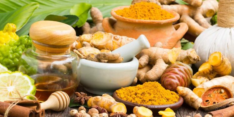 Herbalists Fear Losing Innovations as Regulators Push for Formalisation