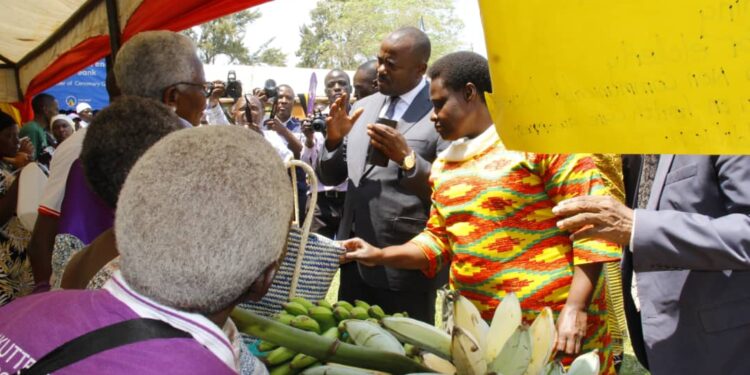 The vice president Jessica Alupo inspecting stalls at elderly day celebrations in Masaka Liberation Square