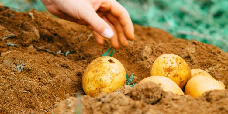 Photo by Markus-Spiske-unsplash