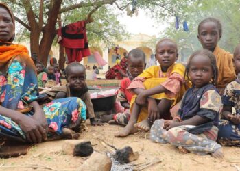 UN Report: Women’s Struggle For Survival, Rights In Conflict Zone