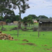 Gun Power: Tensions Rise As Gen. Kayanja Grabs Masaka Forest Reserve