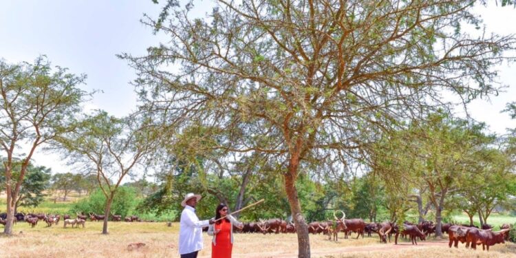 Abe Kalpana, the former Vice President of Kansai Plascon