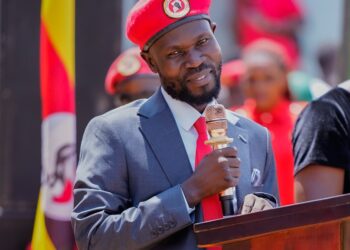 Nalukoola Lines Up Nine Law Firms to Defend Election Victory