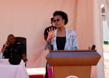 Deputy Inspector General of Government, Mrs. Anne Twinomugisha Muhairwe.