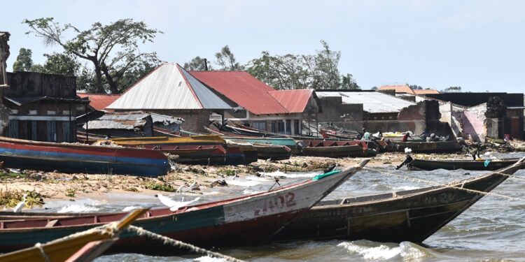 Some of the booats at Kasensero Landing site. Photo by Davis Buyondo