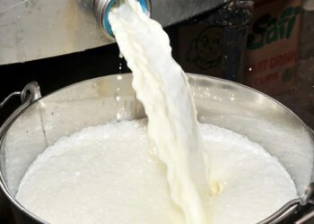 DDA Rationalisation Leaves Staff Unpaid and Dairy Services in Crisis