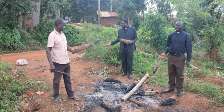 Part of Nakanyonyi Church of Uganda Primary School land in Nakifuma–Naggalama, where suspected land grabbers destroyed crops and boundary fences during an early morning raid.