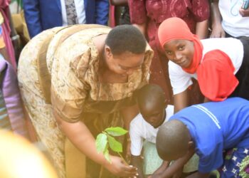 Hon. Babirye Milly Babalanda plants a tree during the International Women’s Day celebrations in Buyende District.