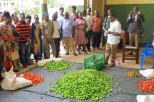 Farmers atending a briefing session from Nicholas Atukwase