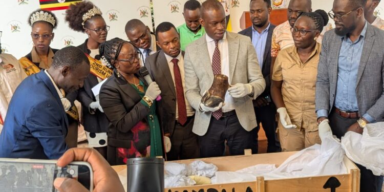 Recovered Artifacts from Europe, Kenya to Be Showcased in Heritage Drive