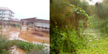 Structures in wetlands