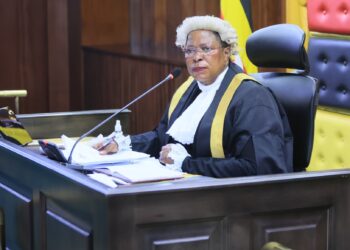 Speaker Anita Among