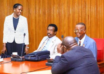 Parliament Scrutinises New Cabinet Under Constitutional Mandate