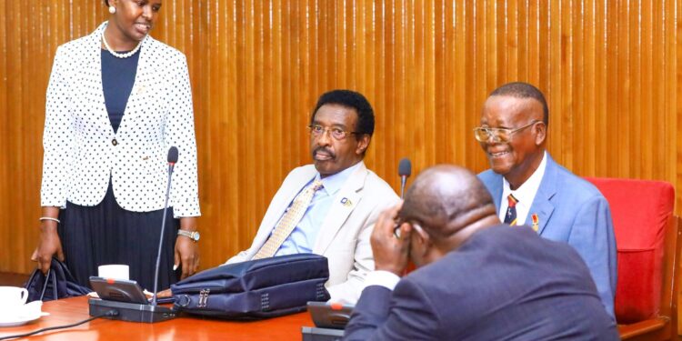 Parliament Scrutinises New Cabinet Under Constitutional Mandate
