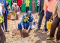 KCCA to Deny Occupancy Permits to Developers Without Trees