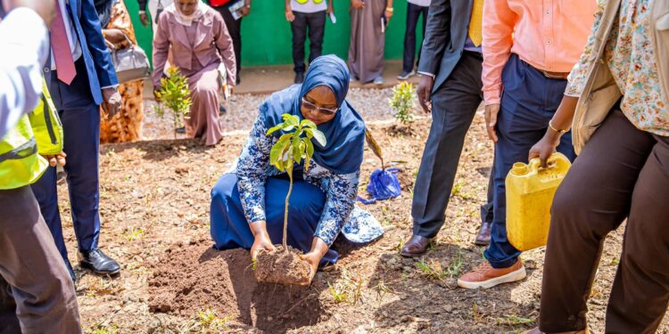 KCCA to Deny Occupancy Permits to Developers Without Trees