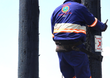 UEDCL Fires Seven Senior Managers in Sweeping Post-Takeover Shake-Up