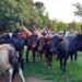 Land Dispute Escalates as Villagers Impound 13 University Boran Cattle