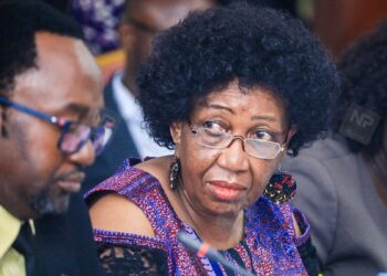 Wangadya Breaks Down Before COSASE, Blames Smear Campaign For UHRC Crisis