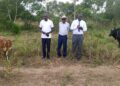 PWD Groups in Kayunga Boost Livelihoods Through Livestock Projects