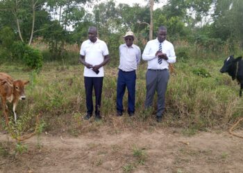 PWD Groups in Kayunga Boost Livelihoods Through Livestock Projects