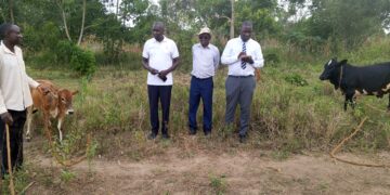 PWD Groups in Kayunga Boost Livelihoods Through Livestock Projects