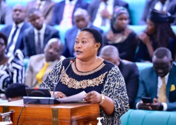 Babalanda Pays Glowing Tribute To Gen. Moses Ali In Parliament