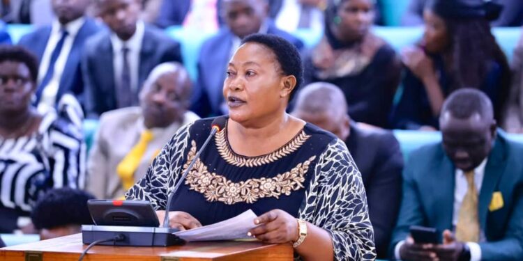 Babalanda Pays Glowing Tribute To Gen. Moses Ali In Parliament