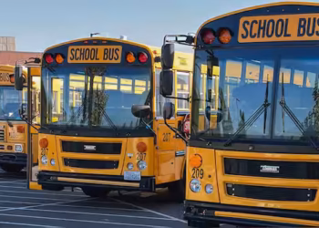Why Uganda’s School Buses Should Be Painted Yellow, and Why the Policy Matters