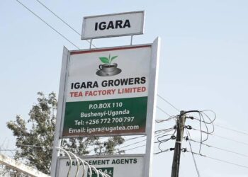 Igara Growers Tea Factory Board Suspended From Company Operations Amid Leadership Dispute