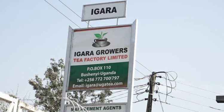 Igara Growers Tea Factory Board Suspended From Company Operations Amid Leadership Dispute