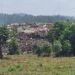 Katikolo Land Acquisition: Shs4.489 Billion Deal Leaves Compensation Gaps, Valuation Questions