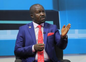 PAC Chair Bans MPs from Using PLU as Reference During Committee Proceedings