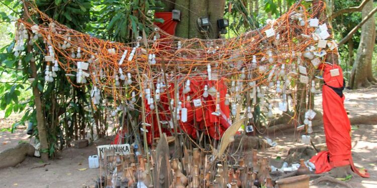 Witchdoctor On The Run After Human Remains Recovered In Lwengo