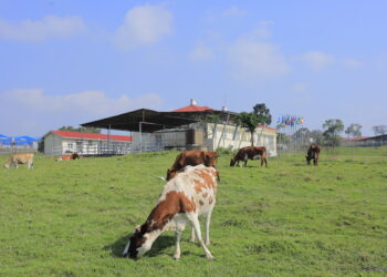 National Animal Genetic Resources Centre and Data Bank (NAGRC&DB)
