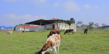 National Animal Genetic Resources Centre and Data Bank (NAGRC&DB)